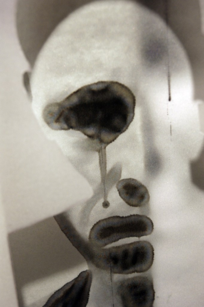 © Joel Sanders 2016